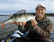 Egli am Football-Kopf. Diese Bleikopf-Version kippt am Grund nicht um und kann von den Räubern problemlos eingesaugt werden.