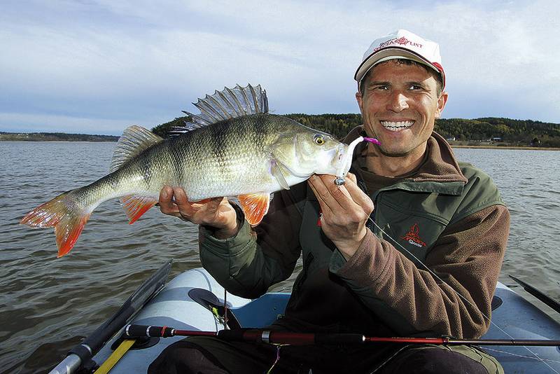 Egli am Football-Kopf. Diese Bleikopf-Version kippt am Grund nicht um und kann von den Räubern problemlos eingesaugt werden.