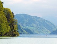 Die Weststeite der Halbinsel Hertenstein: Hier tönts nach Fisch!