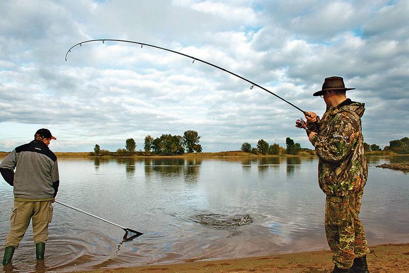 Moderne Spinnruten zum Hechtfischen sind leicht und sensibel, aber auch einem starken Hecht gewachsen. Eine Hechtrute muss im Drill einiges aushalten können.
