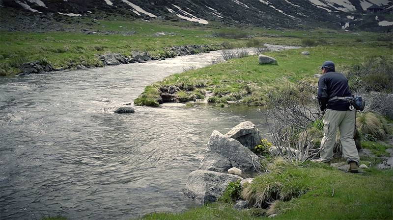 Vom Himmel Schwebend