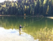 Erholung am Grünsee