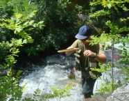 Fischen am Stillerbach