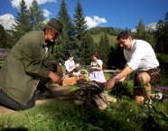 Picknick am Almsee