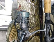 Die meisten Hechtfischer bevorzugen eine Stationärrolle. Selbst auf kleinere Modelle passt genug Schnur für einen Hechtdrill.