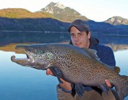 Seeforellen-Milchner 9,8 kg aus dem Fuschlsee, gefangen beim jährlichen Laichfischen durch die Schlossfischerei (mit dem Netz).