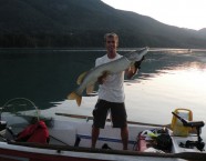 Schöner Hecht aus dem Fuschlsee.
