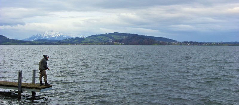 Was-laeuft-im-Januar-2