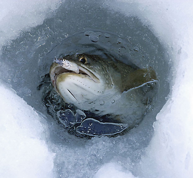 Was-laeuft-im-Januar-4