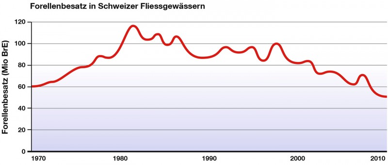 Grafik-Forellenbesatz