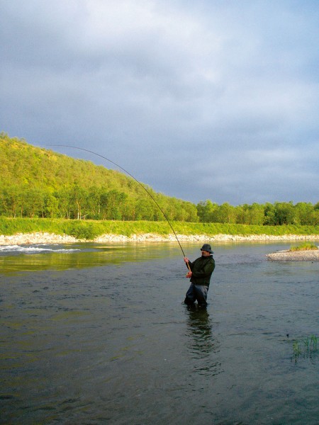 Der Lachs ist für Angler vielleicht der beliebteste Zielfisch überhaupt; traditionell wird den aufsteigenden Lachsen vor allem mit der Fliege nachgestellt. – Foto: E. Hartwich