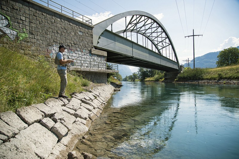 Am Linthkanal lohnt sich ein Versuch auf Äschen.