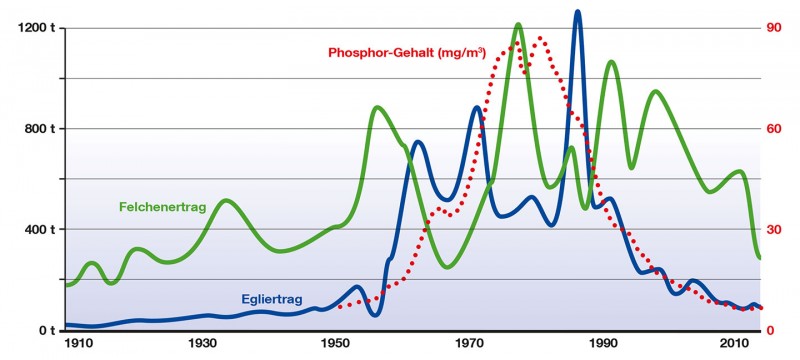 Felchen- und Egliertrag der Berufsfischerei im Bodensee-Obersee.
