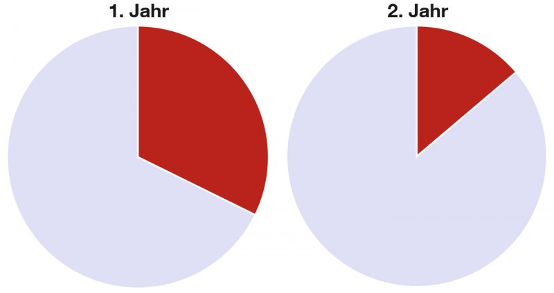 Abb. 3: Prozentualer Anteil der Besatzfische (rot) an der Gesamtdichte ihres Jahrgangs im ersten und zweiten Herbst. Gezeigt wird der Durchschnitt aller befischten Strecken.