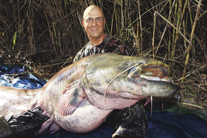 Bruno Brennsteiner, Ebro-Guide