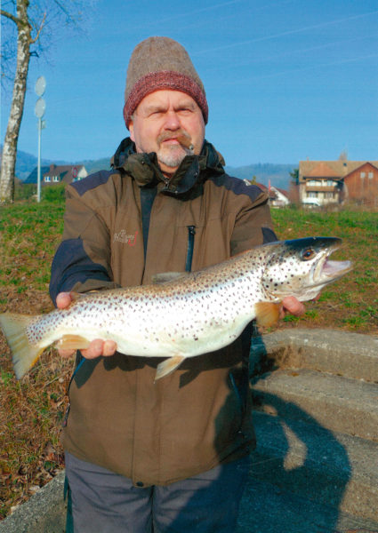 Aare-Forelle, 59 cm, 5,7 Pfund