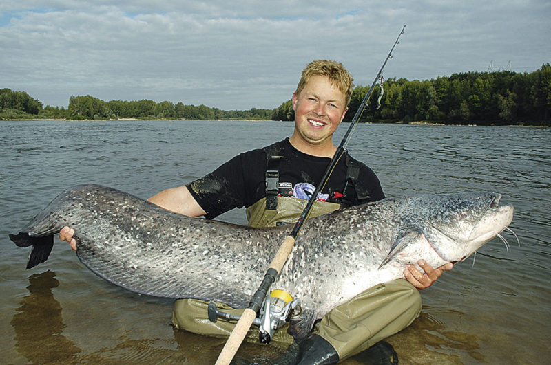 Carsten Zeck, Sänger-Teamangler