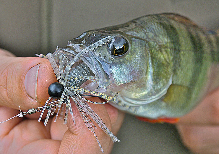 Ob der Jig mit oder ohne Karabiner montiert wird, muss man ausprobieren. Beides hat Vor- und Nachteile.