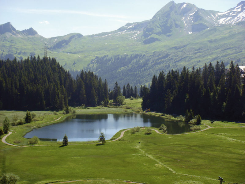 Natur-Erlebnisse-Seeblisee-Hoch-Ybrig