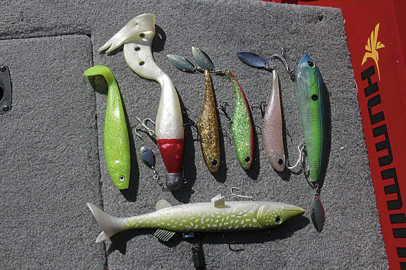 Der «shad à palette» ist am Genfersee einer der populärsten Köder. Er wird entweder vertikal geführt oder an steilen Abbruchkanten hoch gezogen. 