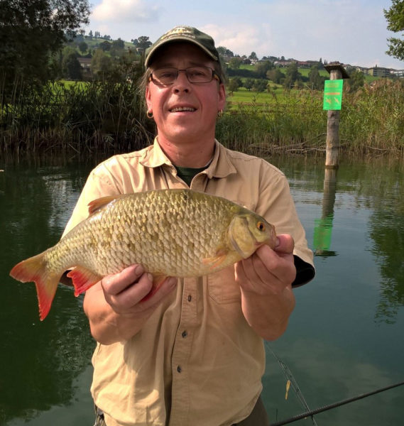 Sempachersee-Rotfeder, 42 cm