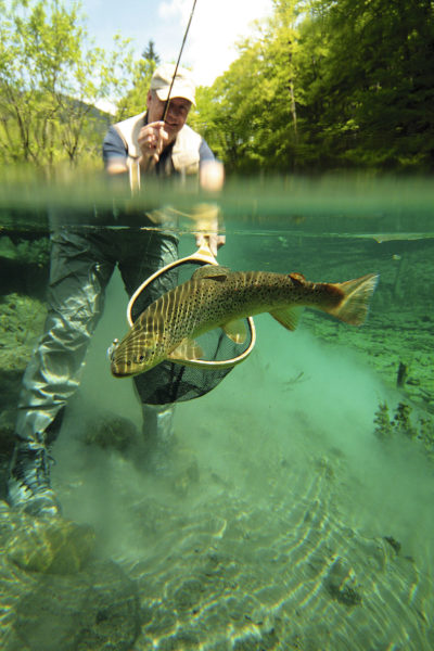 Engmaschige Feumer verhindern, dass die Flossen vom Netzmaterial eingeschnitten werden.