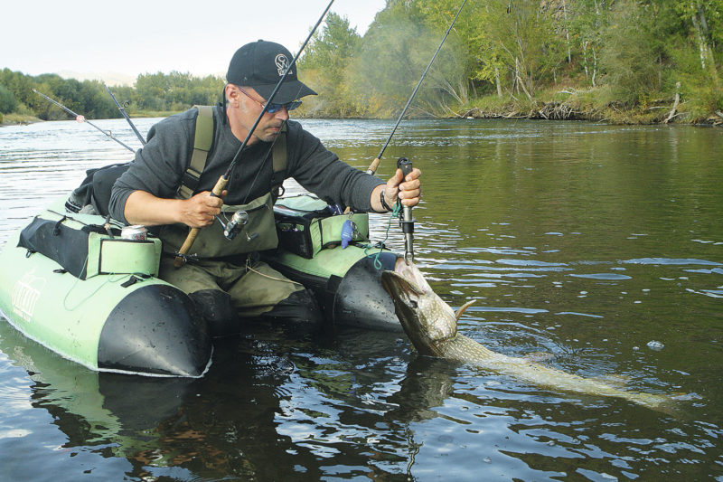 Lip-Grips sind praktische Landehilfen, bergen aber für den Fisch ein erhöhtes Verletzungsrisiko.