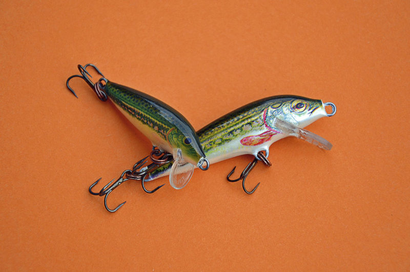 Köder in natürlichen Farbdekoren, wie hier das einer Elritze, locken vor allem scheue Grossforellen an den Haken.