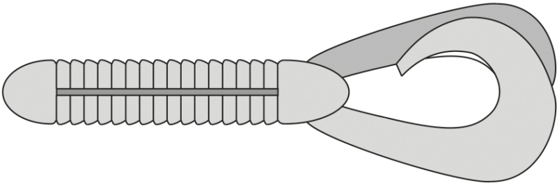 easy-choice-rig-varianten-1
