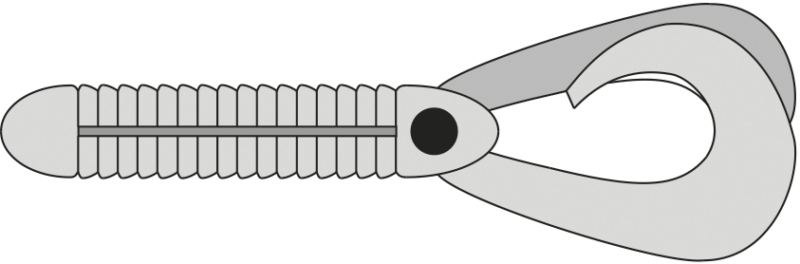 easy-choice-rig-varianten-2