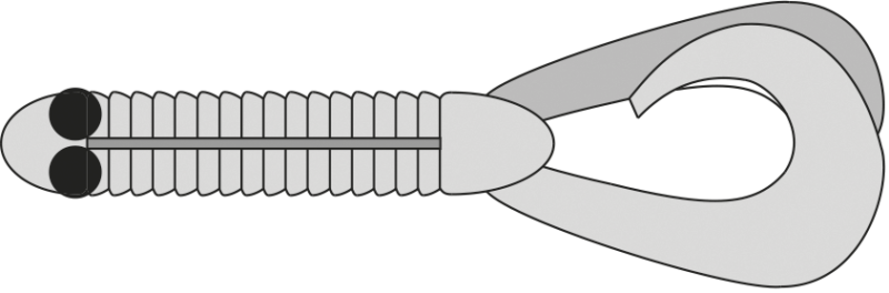 easy-choice-rig-varianten-4