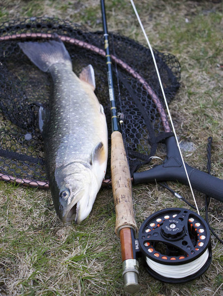 Gleich beim ersten Testfischen konnte dieser schöne Saibling an der Greys WF6 Float überlistet werden.