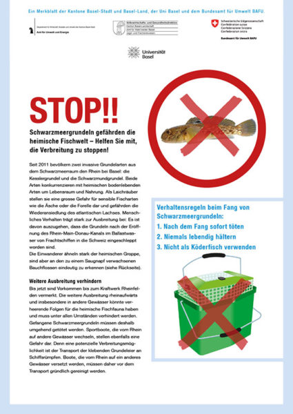 merkblatt_invasive_neobiota_fischer-1