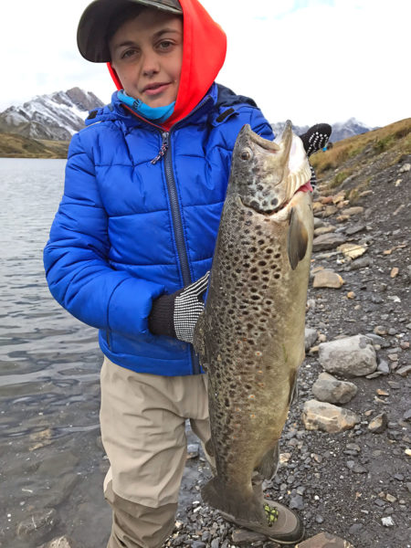 Melchsee-Bachforelle, 55 cm