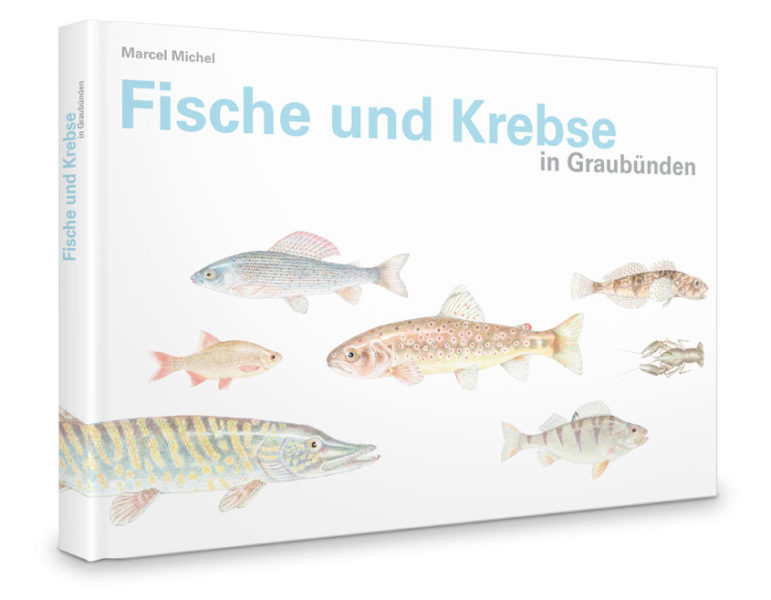 Fische und Krebse im Kanton Graubünden
