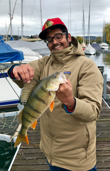 Zürichsee-Egli, 45 cm