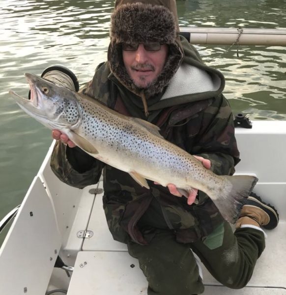 Greyerzersee-Seeforellen, 90 cm, 18,4 Pfund und 72 cm, 9 Pfund