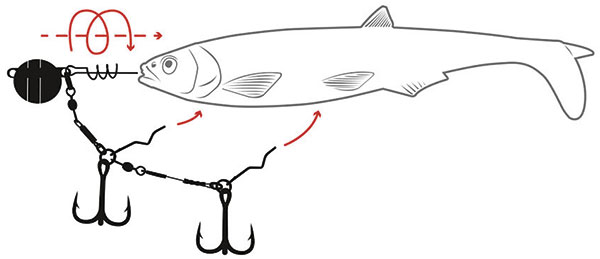 quantum-yolo-shad-system-grafik