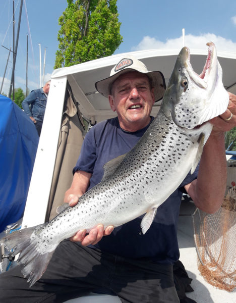 Zugersee-Seeforelle, 77 cm, 9 Pfund