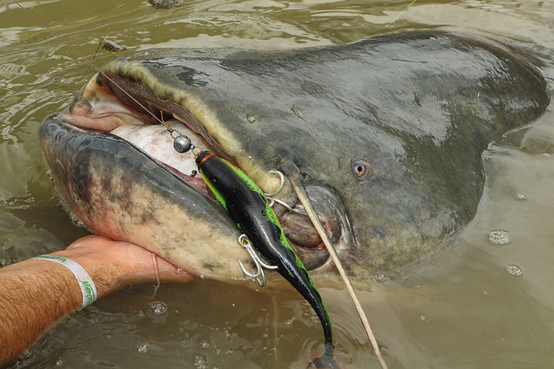 x_portrat-neu-ebro-2018-ch