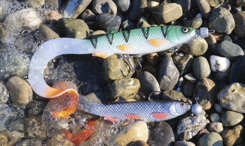 Quantum Yolo Curly Shad