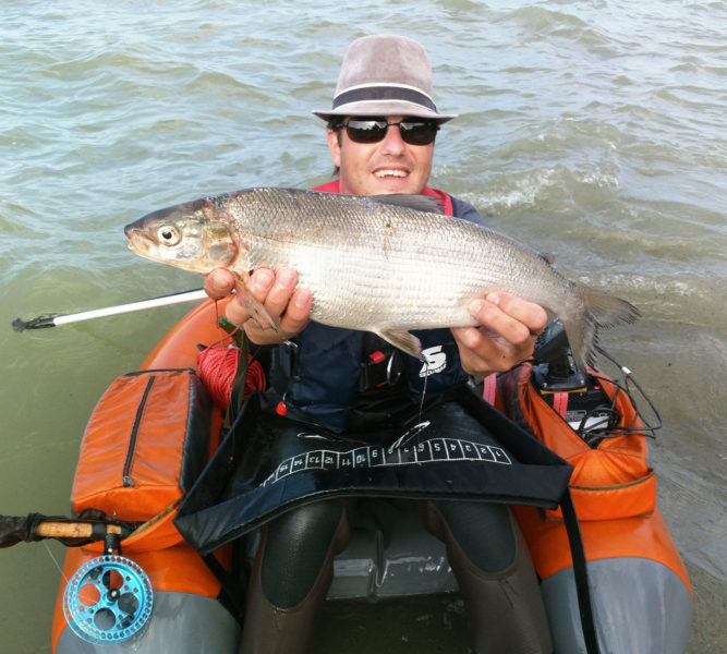 Felche vom 29.6.2018