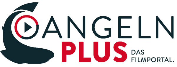 angelnplus_logo_rz-ch