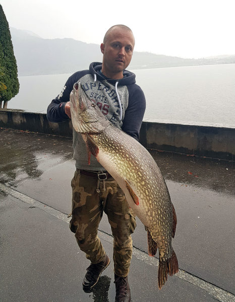 Zugersee-Hecht, 119 cm, 25,6 Pfund