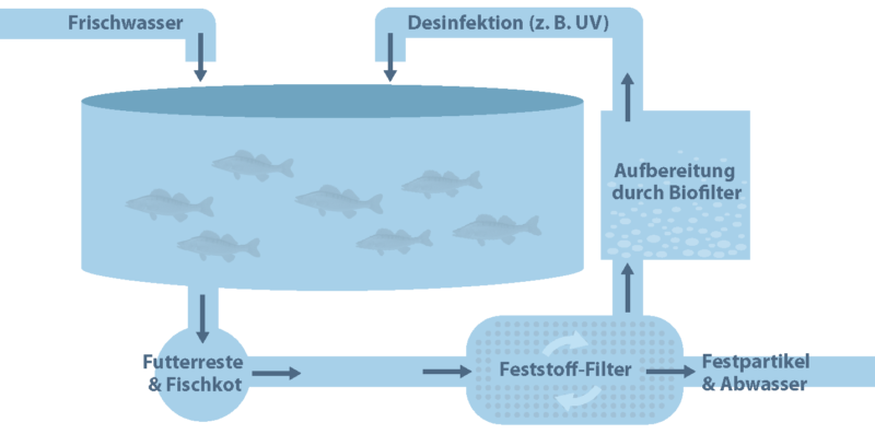 Schema einer Kreislaufanlage