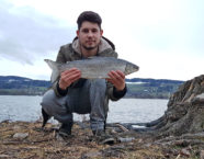 Greifensee-Felche, 53 cm