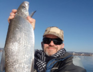 Zugersee-Felche, 63 cm, 35 Pfund