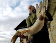 Zugersee-Hecht, 121 cm, 28 Pfund