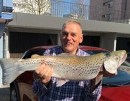 Zugersee-Seeforelle, 74 cm, 9 Pfund