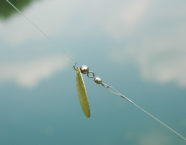 Glitzernde Versuchung:  Ein vorgeschaltetes Spinnblatt kann den toten Köderfisch noch fängiger machen.